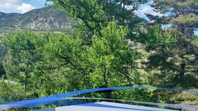 Les mélèzes nous racontent