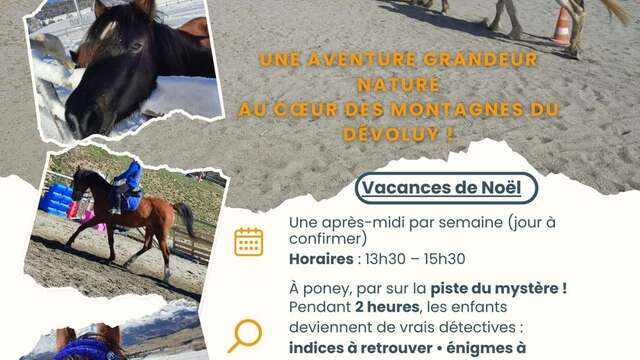 Investigation at the equestrian center