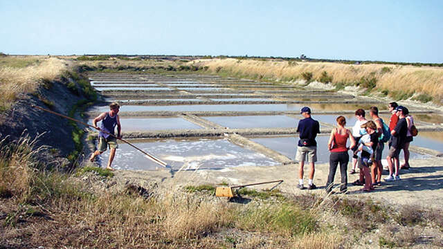 Tarde en las salinas con el Ecomuseo de las Salinas