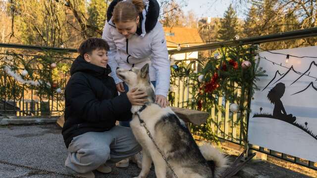 Sortie cani-balade face au Mont-Blanc