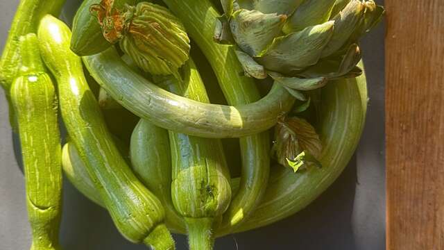 Atelier découverte de la Cuisine Thérapie