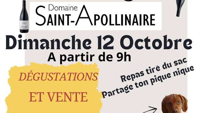 Der Flohmarkt der Domaine Saint Apollinaire