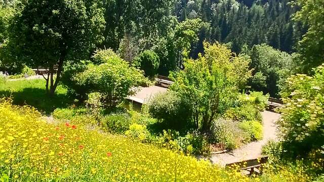 Jardin Alpin