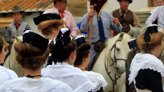 10th Provençal Week in Avignon