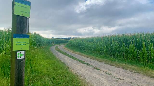 La boucle des bords de Loire