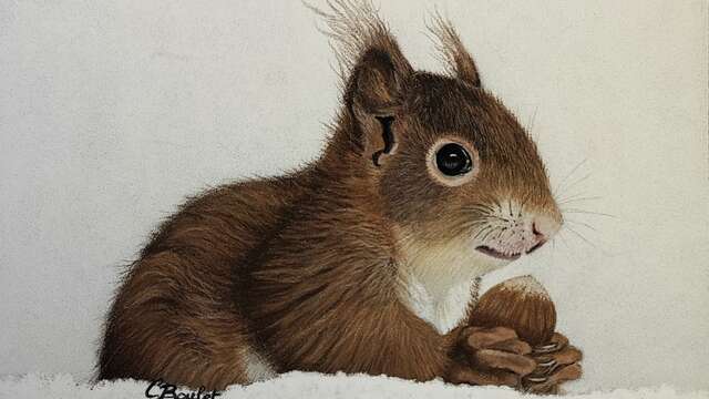 Exposition - Mimi pastel artiste animalière