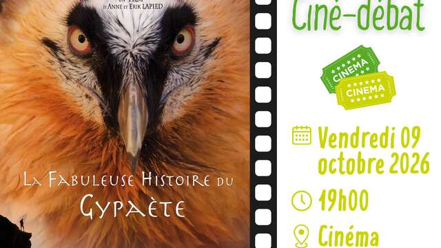 Journée Internationale du GYPAÈTE BARBU avec le Parc National du Mercantour