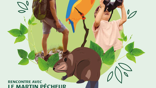 Les orchidées sauvages - sortie naturaliste en famille avec Ecovirado