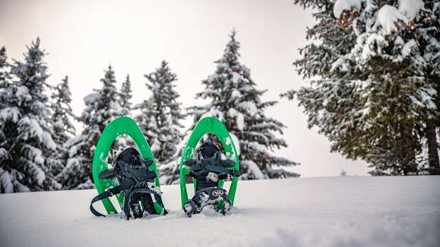 Le Nid de l'Aigle snowshoe trail