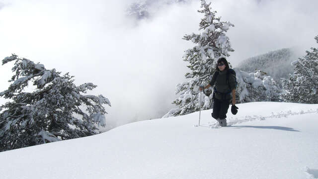 Raquettes avec Gil Streichert