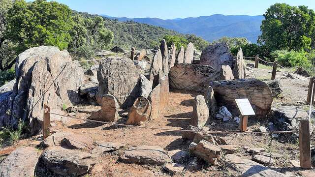 Visite guidée groupe : Un dolmen en terre varoise