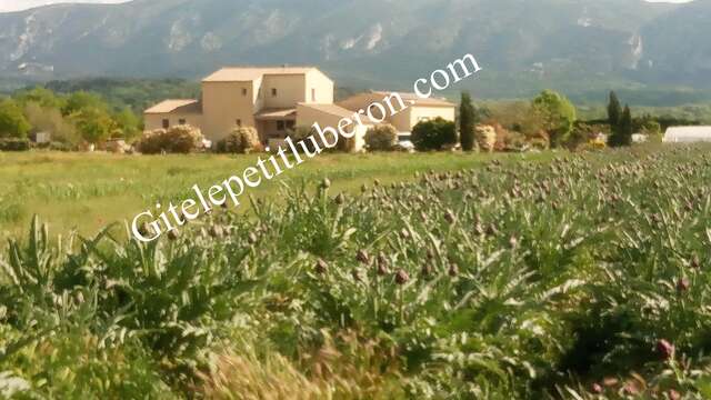 Gîte Le Petit Luberon - Coquelicot