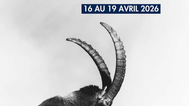 Séances Films Primés - Festival du Film Nature