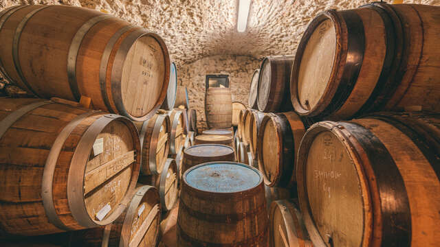 Visite Expert Rhum à la Maison Ferroni