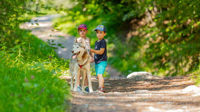 Sortie cani-balade face au Mont-Blanc