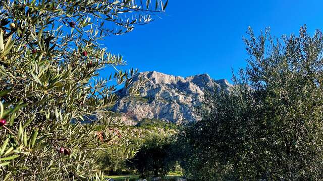 Randonnée Sainte Victoire