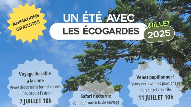 Reise vom Sand zum Gipfel - Ein Sommer mit den Ecogards