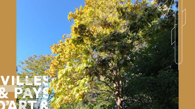 Visite guidée : Arboretum, à la découverte des écorces