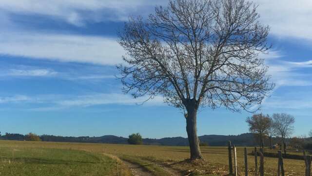 Sentier La croix de la Sauteuse
