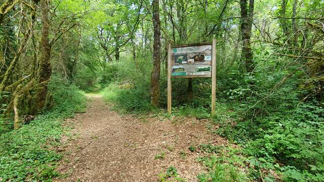 Balade - Réserve Naturelle de la grotte de Hautecourt