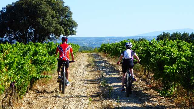 Bédoin et les contreforts du Ventoux : Balade accompagnée à vélo