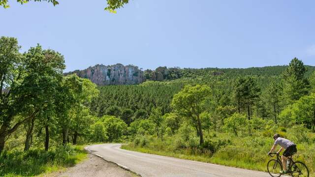 Circuit vélo : N°2 - Bagnols en Forêt