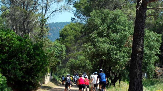 Circuit VTT : Le Ronflon