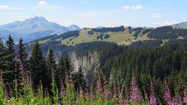 Parcours trail 50 vert : Avoriaz Joux Verte