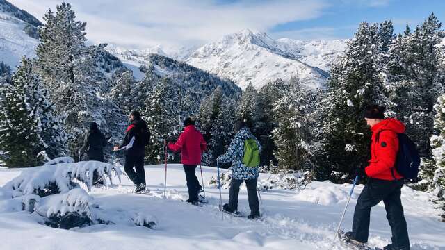 1/2 day snowshoeing (beginners) with Pyrénées Excursions