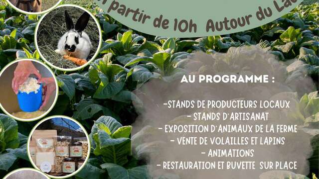 Fiera agricola e artigianale