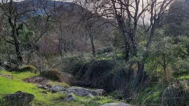Promenade-découverte : chemins de nature – les plantes et l’eau quel duo !