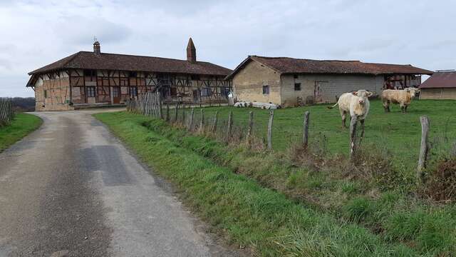 Circuit VTT-VTC n°22 (bleu) La Petite Sarrasine