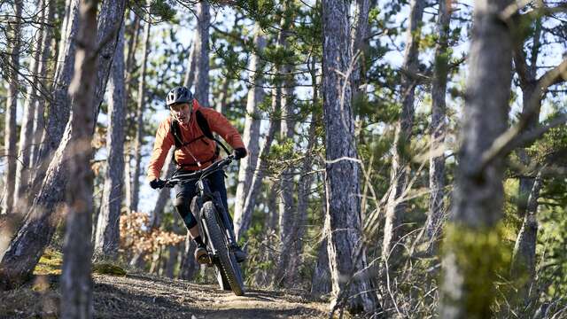 VTT n°6 - La Pierre Plantée