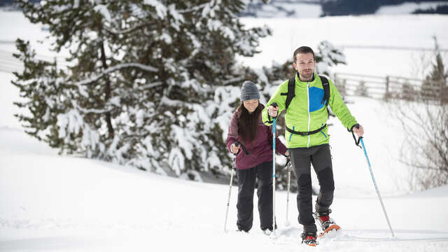 Sommet et crêtes du Grand Puy - Difficile 8km