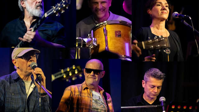 Danger Birds - Festival Improbable