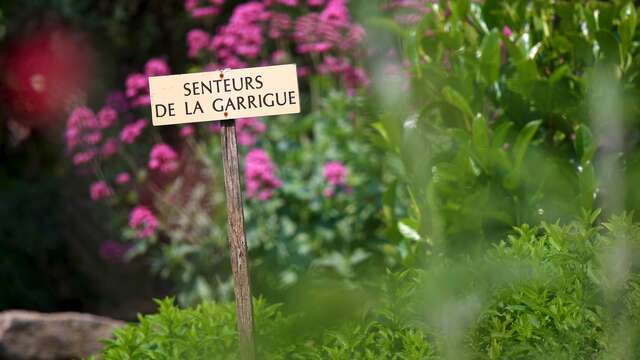 Jardin des Senteurs