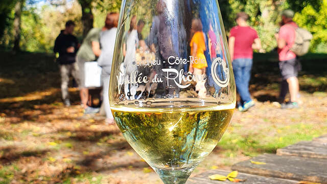 Apéro Vignes au Domaine Anthony Paret