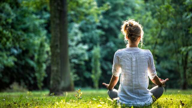 Wellness Bubble  - Sophrology
