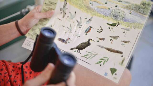 Croisière ornithologique