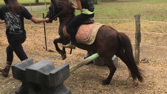 Cours d’équitation - Haras de Tontouta