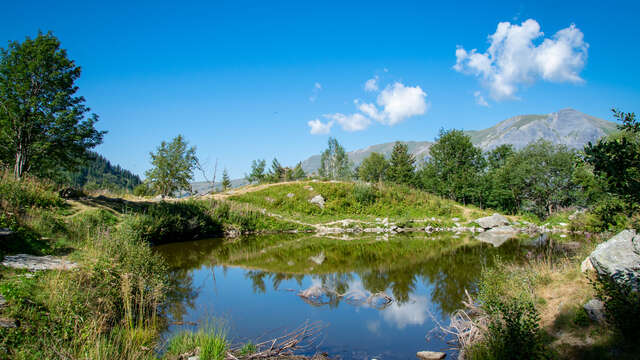 Tout baigne au lac ?