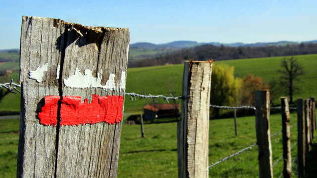 GR®89 - Chemin de Montaigne : Saint-Martin-Lestra / Poncins