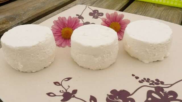 Ferme de la forêt - Histoire du fromage de chèvre