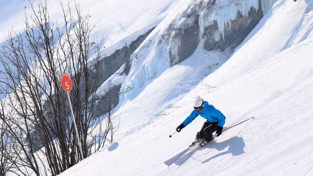 ESI - Stage compétition, freestyle, freeride