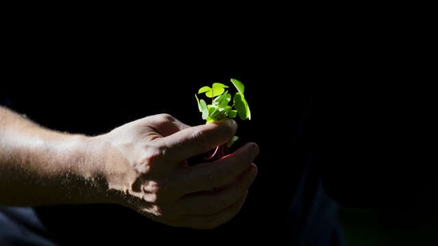 Sammeltouren - Refuge des Gourmets