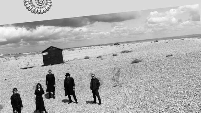 Les Escales du Cargo - Archive