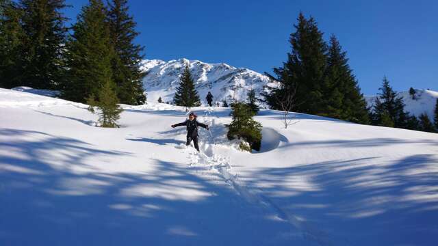 Randonnée en  Raquettes - Adaptation de la faune de montagne à l'hiver