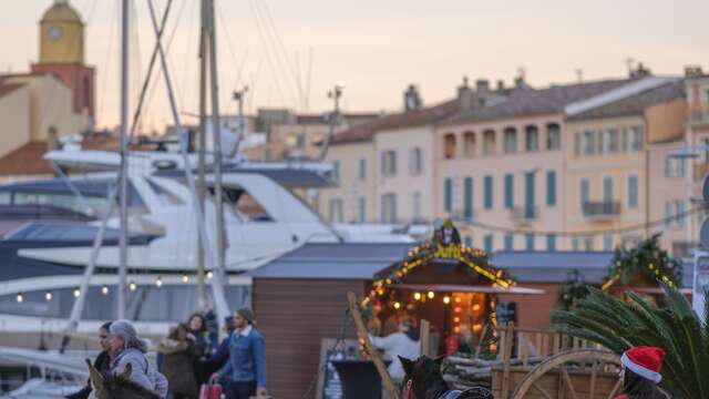 Petite ferme de Noël