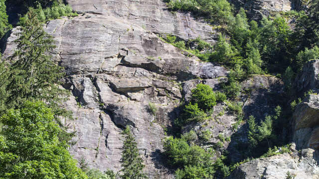 Rocher d'escalade de la Duchere