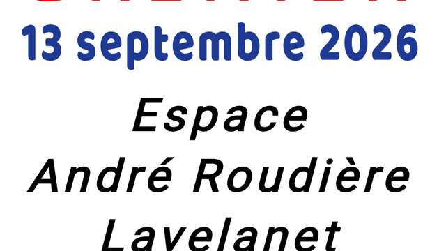 Vide grenier du Lavelanet'hon